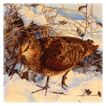 Woodcock in snow